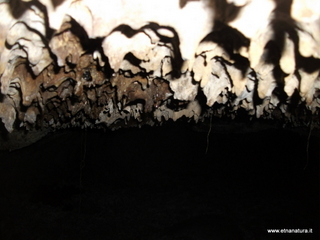 otta Petralia-17-03-2013 10-07-46
